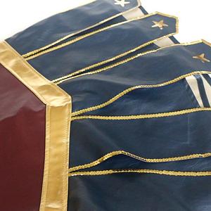 <span class=keywords><strong>Déguisement</strong></span> d'Halloween Femme, Tenue de Cosplay Uniforme de Pom-Pom Girl Scintillant, Ensemble de Lingerie Sexy - Product Image 5