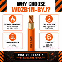 Câble WDZB1N-BYJ LSZH XLPE 450/750V Cuivre massif 90C B1 Résistant au feu Sans halogène Appareil électroménager GB 31247 IEC 60331