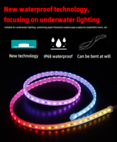 Bande LED RGB Numérique Adressable Étanche 10mm DC24V WS2811 IC pour Extérieur – Vente Chaude