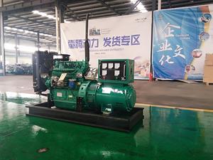 30 Kw jeneratör endüstriyel dizel jeneratör 30 kva 4 silindirli Ricardo motoru ile - Product Image 5