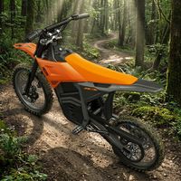 Motocicleta Eléctrica Todoterreno de Alta Velocidad y Largo Alcance, 2500W 48V20.8Ah 55km/h, Estilo Stark Varg Yozma In10, Motocicleta de Carreras para Adultos