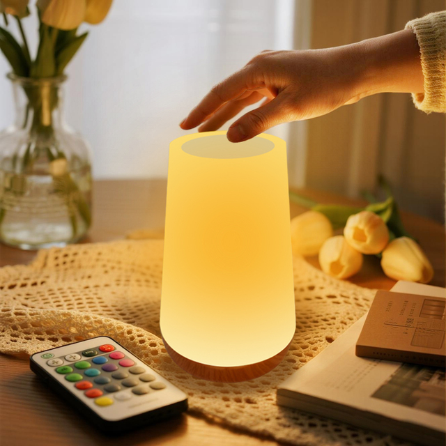 LED Table Lamp Bedside Lamp Bedroom 13 Color Changing Touch Night RGB Remote Dimmable USB Rechargeable Portable Modern Mini