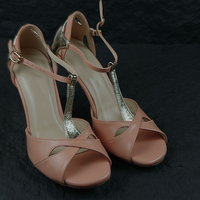 Chaussures de tango argentin classiques professionnelles pour femmes avec semelle en daim, danse latine, souples