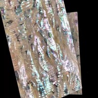 Vente en gros de papier de coquille d'ormeau naturel du Mexique pour comptoir de meubles d'artisanat d'art décoration de la maison