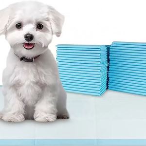 Nouvelles Offres 2025 : Tapis d'Entraînement Jetables pour Chiots – Absorbants et Pratiques - Product Image 1