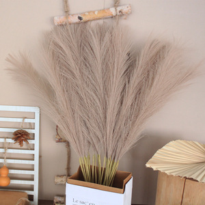AYOYO - Decoración para el Hogar con Caña Artificial de 55 cm, Flores Artificiales de <span class=keywords><strong>Cortaderia</strong></span> Selloana - Product Image 1