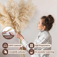 Décoration de mariage bohème en gros, grande plume de pampas séchée, décoration florale, pampas séchée naturelle réelle et préservée pour la décoration