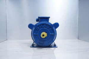 Motor Eléctrico Monofásico de Inducción de 1HP, 0.75KW, 210-230V, 1440RPM, TEFC, CSCR, Cuerpo de Acero Suave, Montaje en Base - Product Image 6