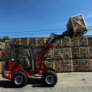 CE EVERUN kualitas tinggi ER11HT merek baru Wheel <span class=keywords><strong>Loader</strong></span> Harga roda Mini hidrostatik teleskopik - Product Image 4