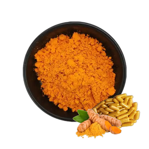 Grosir ekstrak kunyit Kurkumin alami & sintetis 95% bubuk Kurkumin massal Curcumine - Product Image 3