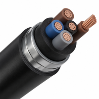 Kabel Daya 3 Inti 0.6/1kV Berisolasi XLPE dengan Pelindung Baja Berpita Konduktor Tembaga IEC 60502-1 CE untuk Kelas Industri IP65