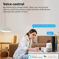 Module Relais Intelligent Tuya Alexa avec Minuteur, Interrupteur Mural Wi-Fi+RF 16A, Compatible Google Home et Application Smart Life, Télécommande