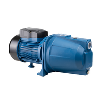 220V/50Hz maison auto-amorçante Jet pompe moteur à eau électrique pompe à eau Machine avec protecteur thermique à l'intérieur