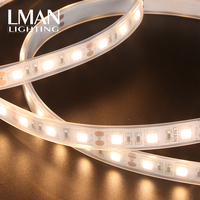 Éclairage de décoration intérieur/extérieur, pliable, étanche IP65, DC 12V 24V, 60 LED/m, bande LED SMD 5050