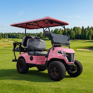 Voiturette de golf rose à 4 places, homologuée pour la route, entretien facile, pour les parcs, les attractions touristiques, les terrains de golf, les centres d'exposition - Product Image 1