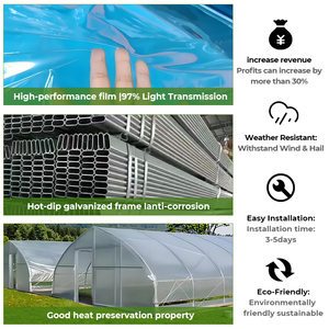 Material PE de tamaño pequeño Plantas agrícolas Invernadero hidropónico Casa de fresas e invernadero de túnel vegetal - Product Image 5