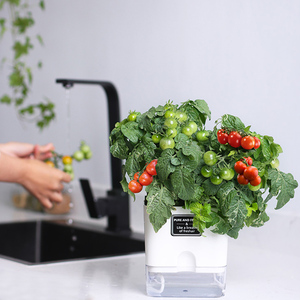 Pots de fleurs en plastique Oliz Pot de plantes auto-arrosantes <span class=keywords><strong>pour</strong></span> plantes d'intérieur - Product Image 3