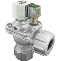 Vanne solénoïde électrique à bille en acier inoxydable DC 24V/12V AC220V pour le contrôle pneumatique et hydraulique, idéale pour l'élimination de la poussière