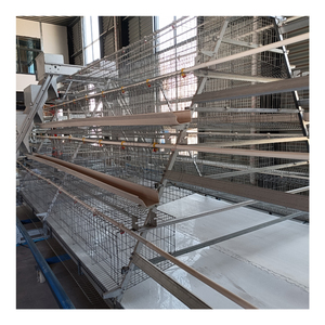 <span class=keywords><strong>Poulailler</strong></span> à 3/4 niveaux de type A pour 96/120/128/160 poules pondeuses, cage à poules avec équipement d'alimentation automatisé pour poules pondeuses - Product Image 2