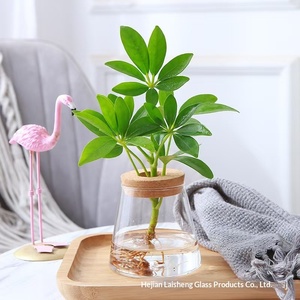 Yaratıcı El Yapımı Hidroponik Bitki Vazosu <span class=keywords><strong>Volkan</strong></span> Tasarımlı Yüksek Borosilikat Cam Şişe Mantar Tıpa ve Ahşap Tabanlı - Product Image 3