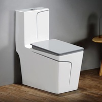 WC monobloc blanc moderne de luxe avec siphon S, cuvette de toilette en céramique de haute qualité
