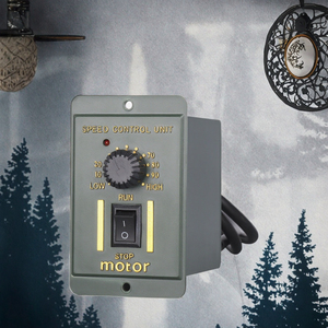 Controlador de Velocidad 220V 50Hz 15W-300W para Motores Asíncronos Monofásicos de CA, Controlador de Velocidad para Motores de CA - Product Image 2
