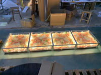 Plate-forme de scène en verre plexiglas transparent avec fleurs artificielles pour événement de mariage LED en gros lisse