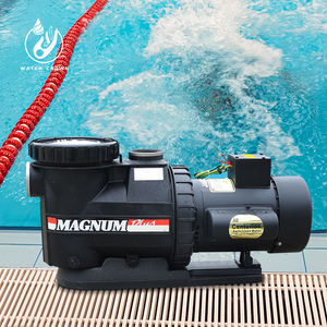 <span class=keywords><strong>Pompe</strong></span> à eau en Fiber de verre de haute qualité série KP, <span class=keywords><strong>pompe</strong></span> à moteur, <span class=keywords><strong>pompe</strong></span> à eau de <span class=keywords><strong>piscine</strong></span> - Product Image 2