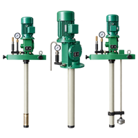 Pompe à huile électrique pour fût avec long tube d'aspiration DJB-V70 DJB-V400 KGP-700LS pour le transfert d'huile