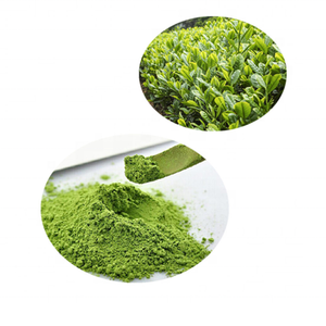 Wholesales 100% Organic Matcha Green Tea <strong>Powder</strong>/matcha/<strong>ice</strong> <strong>Cream</strong> <strong>Powder</strong> - Product Image 2