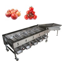 CANMAX Fabricant Offre Spéciale Noyer Citron Pomme Oignon Pomme de terre Légumes Classificateur de fruits Trieuse de taille