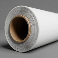 Film étirable en polyéthylène linéaire à faible densité (LLDPE) lisse et transparent, largeur 30 cm et longueur 100 m, pour emballage industriel