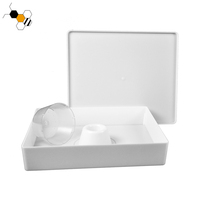 Nourrisseurs d'abeilles en plastique carrés de 6 L à vente chaude pour ruches