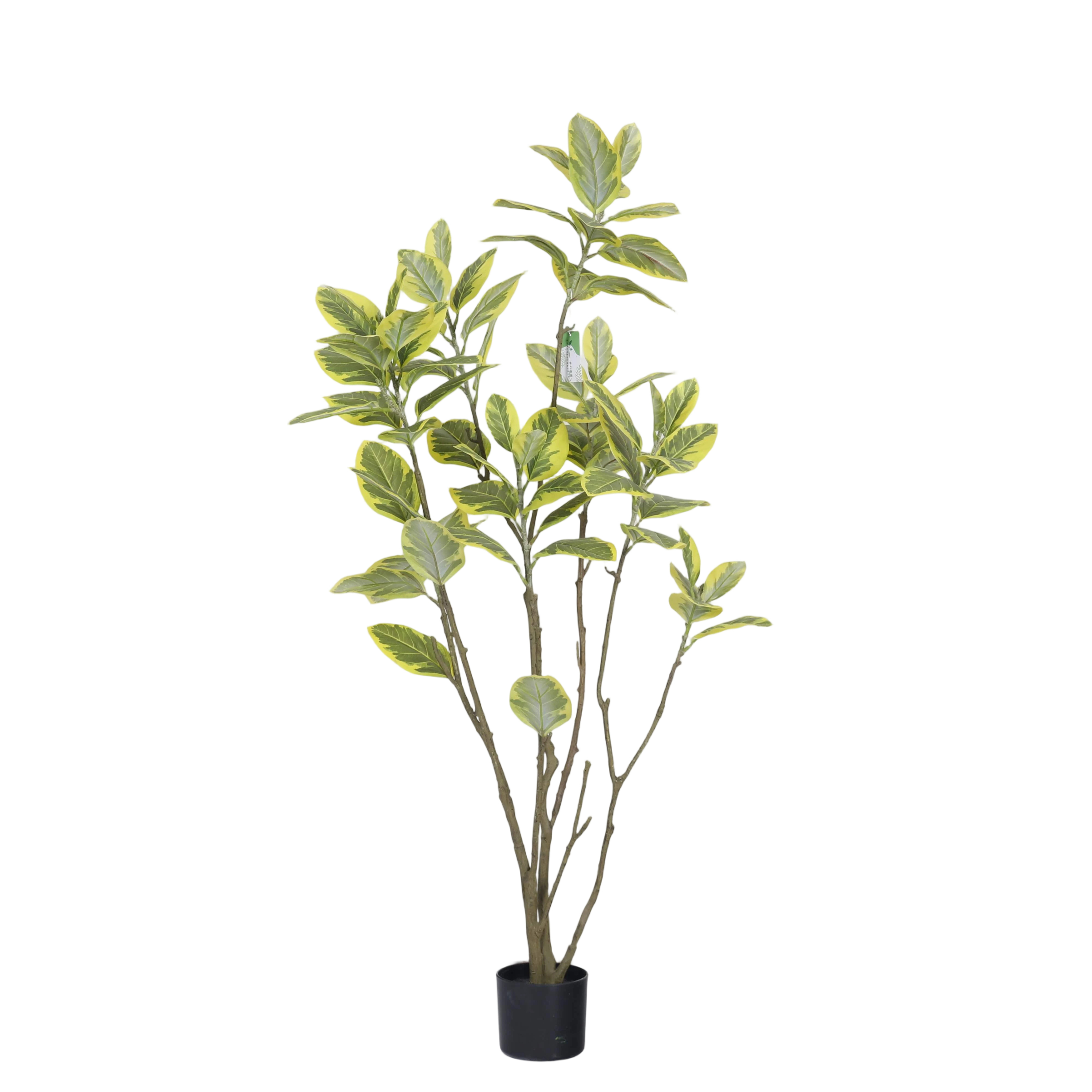 Jaune 150cm