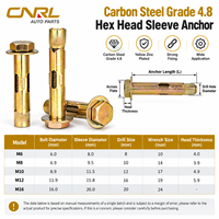 RuiLi Grade 4.8 Q235 Carbon Steel Hex Head Sleeve Anchor Expansion Bolts M6-M16 Concrete Fasteners Wholesale OEM ODM Supplier