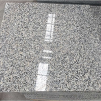 Pierre naturelle G602 Escalier de granit Surface flammée Tuile de granit gris sésame pour sol