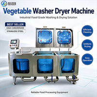Industriële SUS304 automatische fruit- en groentewasmachine met regelbare snelheid en belletjesreiniger voor voedingsfabrieken