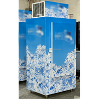 Congélateur à porte pleine inclinée pour l'extérieur à température unique Machine à glace de style stockage de glace en sac à refroidissement direct