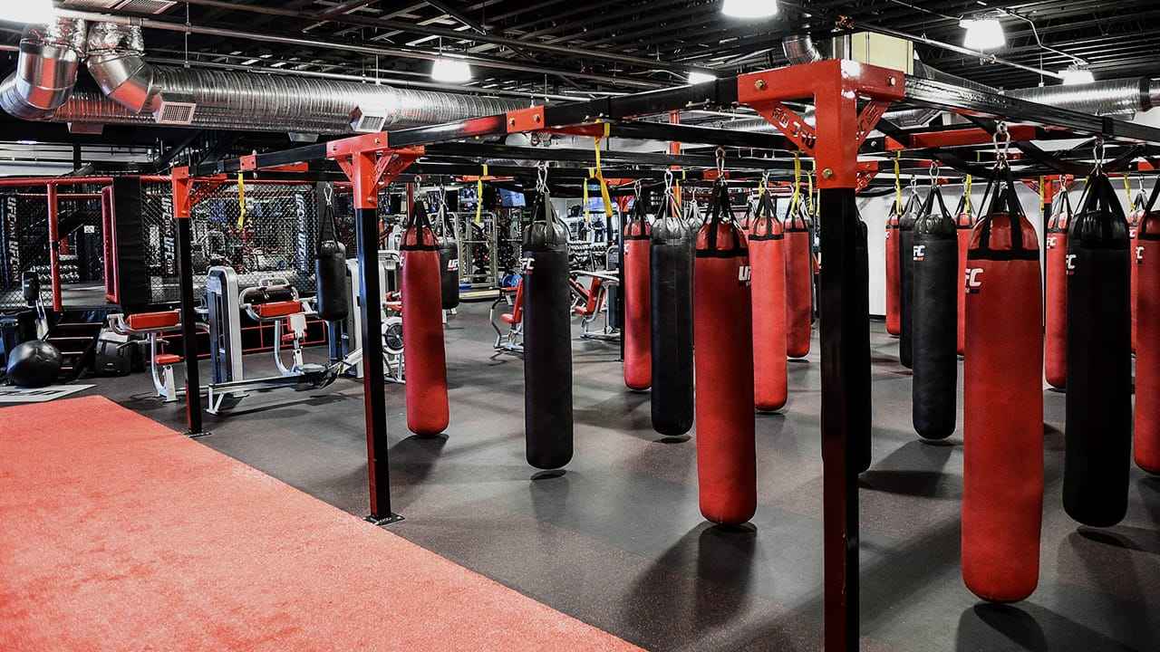 Commercial Gym Equipment Stair Climbing Fitness Machines