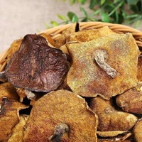 Song Mo Chine Suillus Luteus Slippery Jack en vrac, Suillus Luteus sauvage déshydraté L.ex Fr. Champignons gris à vendre