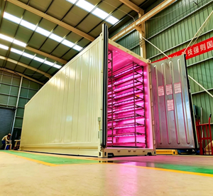 Ferme hydroponique intelligente Skyplant en conteneur maritime pour la culture de légumes à feuilles vertes, système de culture vertical en intérieur - Product Image 1