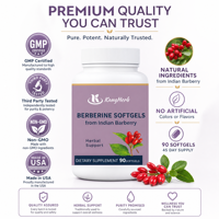 Softgel Berberine Dari Indian Barberry, Persediaan 45 Hari untuk Mendukung Metabolisme dan Pengelolaan Berat Badan