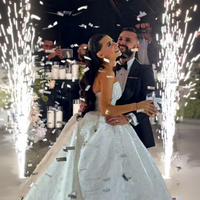 Machine à étincelles froides DMX 600W - Décorations portables en métal sur le thème de la romance pour les DJ, les mariages, les clubs et les événements