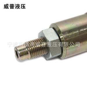 Vanne de décharge à action directe Wepu Hydraulic ZYF10-00 1/2 pouce 315 bars 40 L/min bidirectionnelle - Product Image 2