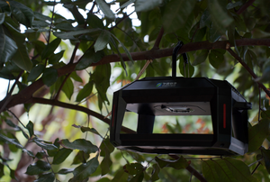 Otomatik böcek monitör MINI taşınabilir akıllı böcek algılama ve raporlama cihazı AI yüksek çözünürlüklü kamera - Product Image 2