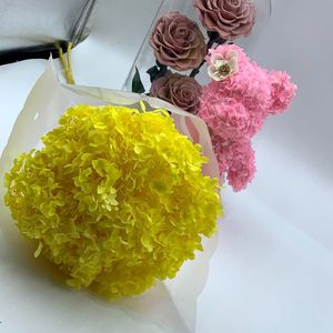 All'ingrosso fiore di decorazione secchi fiori di ortensia colore rosa piccole <span class=keywords><strong>foglie</strong></span> Anna conservato ortensia con singolo gambo lungo - Product Image 5