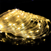 Ampoule de jardin LED RVB intelligente IP65 pour l'extérieur Contrôle APP USB 5V pour l'éclairage paysager Noël Vacances LED Chaîne en plastique