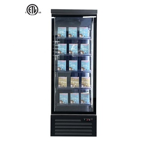 Congélateur de crème glacée 600 Lite Vitrine verticale en verre Ventilateur de refroidissement Congélateur de vitrage pour magasin - Product Image 1