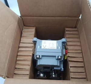 SVI2-31123111หนังแบบดิจิตอลสำหรับแต่งตัว masoneilan - Product Image 4