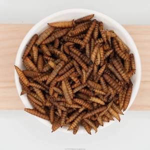 Larva Lalat Tentara Hitam yang Diangkutkan Secara Alami - Tanpa Bahan Tambahan, Pilihan Lebih Sehat, Perhatikan Pertumbuhan Hewan Peliharaan Anda dengan Jelas - Product Image 6